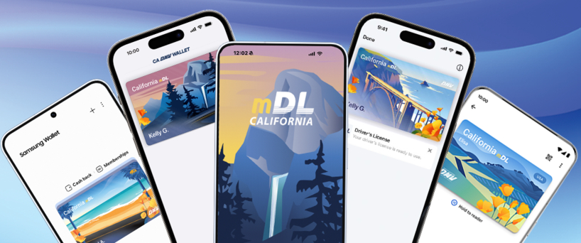 dmv 공식 웹사이트 캡쳐