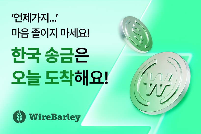 와이어바알리 