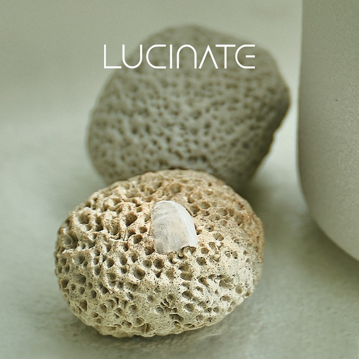 [Image by Lucinate]