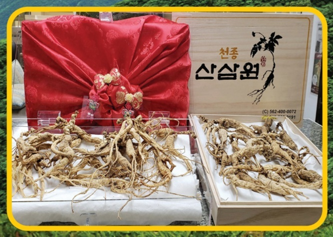 부에나파크 천종산삼원