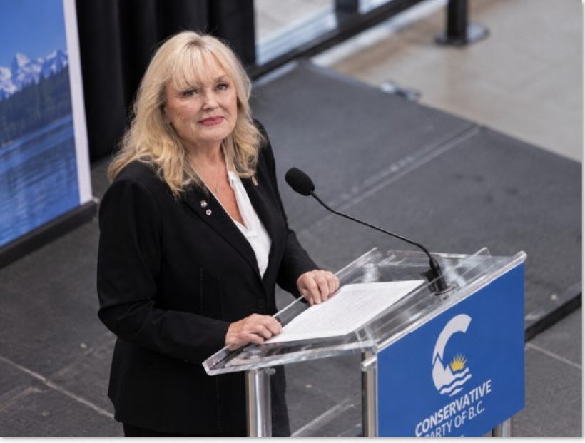 17일 열린 긴급 의원총회에서 케리린 핀들레이 대표가 발언하고 있다.
