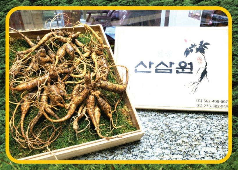 부에나파크 천종산삼원