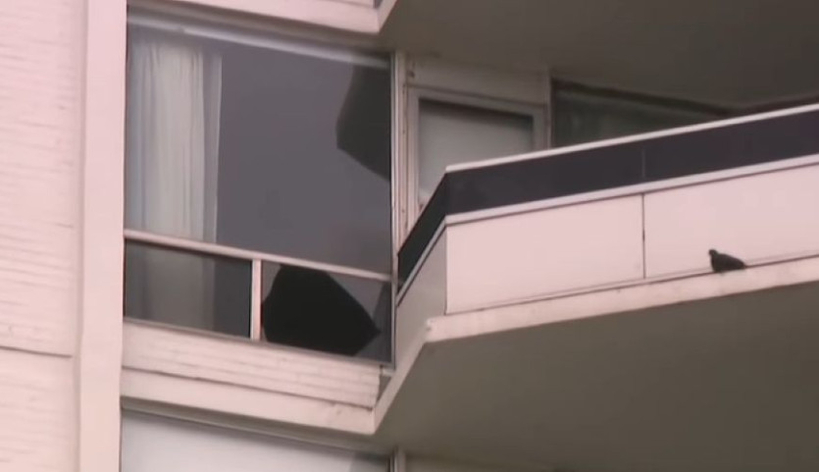 [사진출처:Youtube @CP24]
