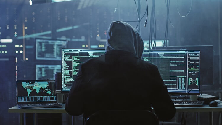 cyber fraud