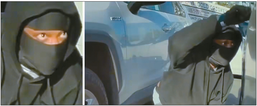 피해자 차량 블랙박스 카메라에 포착된 절도 용의자가 몸을 숙인 채 조수석 문을 여는 모습. [ABC7 캡처