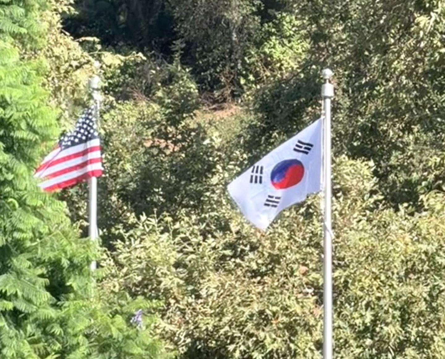 참전용사 기념비의 태극기가 거꾸로 게양돼 있다. [독자 제공]