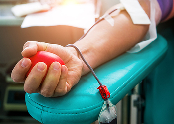 ‘월 400불 벌자’ 피 파는 중산층