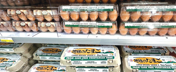 계란값이 30% 이상 하락했다. 마켓서 판매 중인 계란들. 박낙희 기자