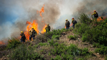 Debate Reemerges Over Aggressive Wildfire Suppression and the “10 A.M. Rule